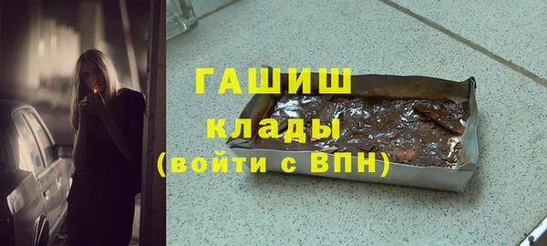 стаф Алзамай