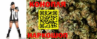 молекула духа Долгопрудный